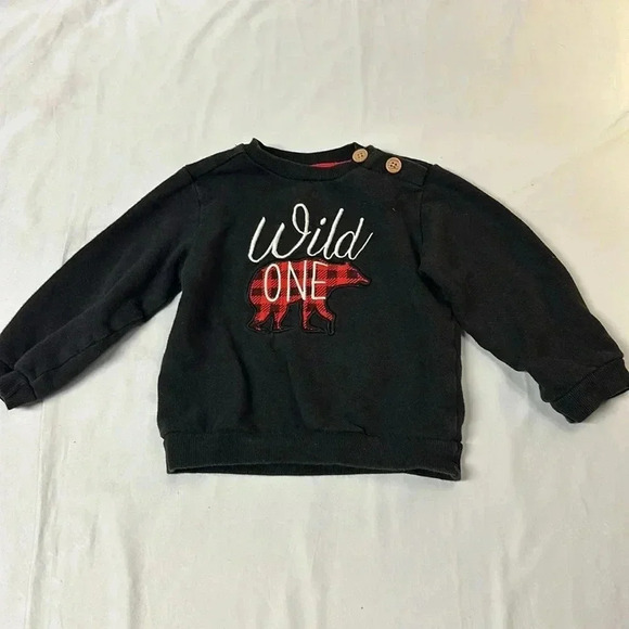 The Littlest - long sleeve pullover sweater/sweatshirt. Size 18-24 months - Picture 1 of 3